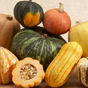 Image of winter squash