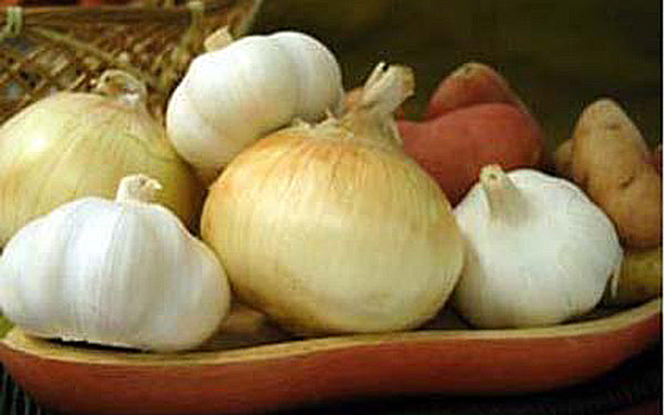 Spring Garlic — Melissas Produce