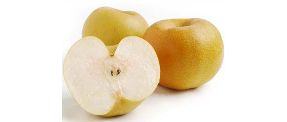 Fresh, Jackfruit — Melissas Produce