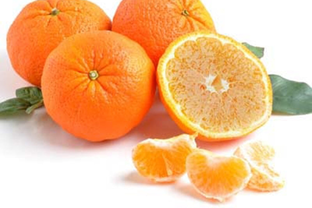 When Are Tangerines in Season?