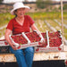 Image of  Harry's Berries Strawberries Fruit