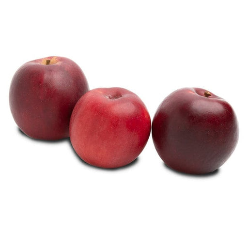 Organic Gala Apples — Melissas Produce