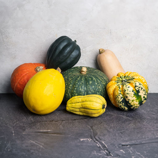 Image of  Winter Squash Sampler Vegetables