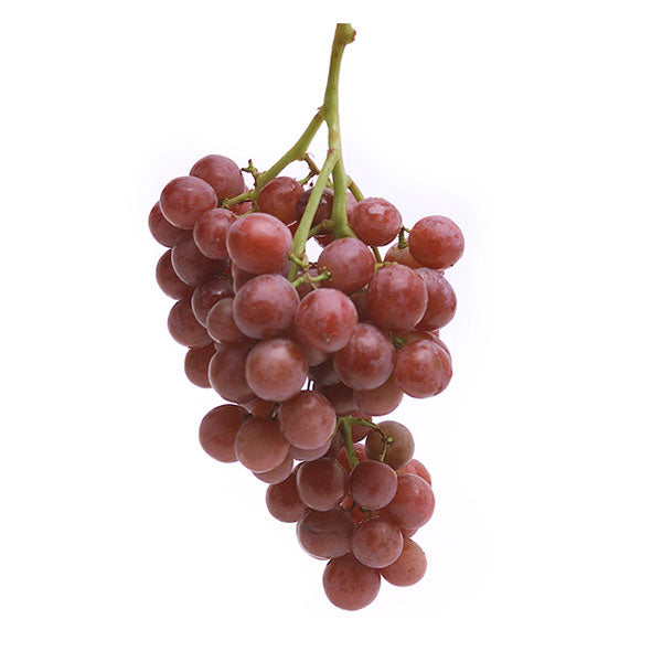 Image of  4 Pounds Autumn Harvest®  Grapes Fruit