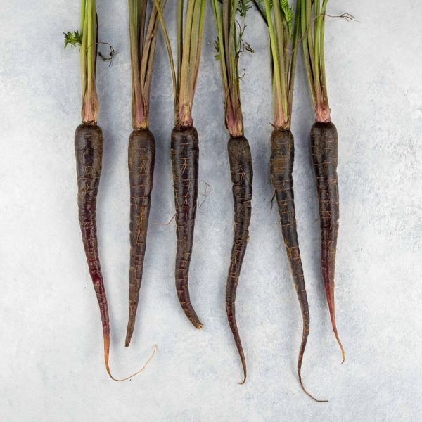 Image of Baby Purple Carrots