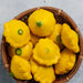 Image of  Baby Summer Squash Vegetables styled