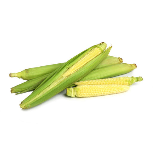 Image of  Fresh Baby Corn Vegetables