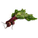 Image of Beets vegetables