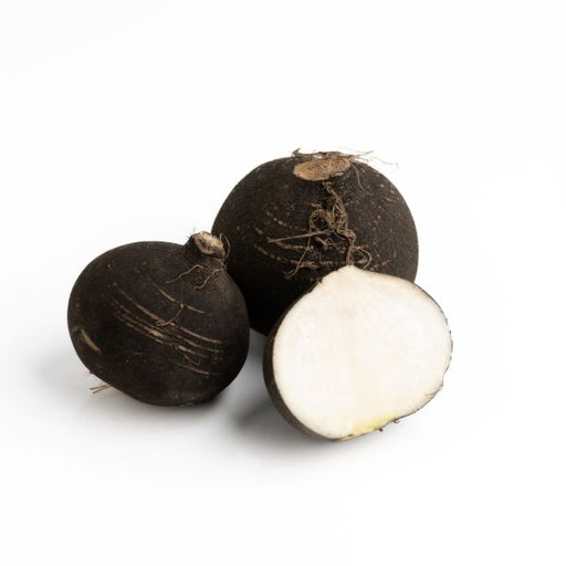 Image of  Black Radish Vegetables