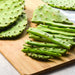 Image of Cactus Leaves styled