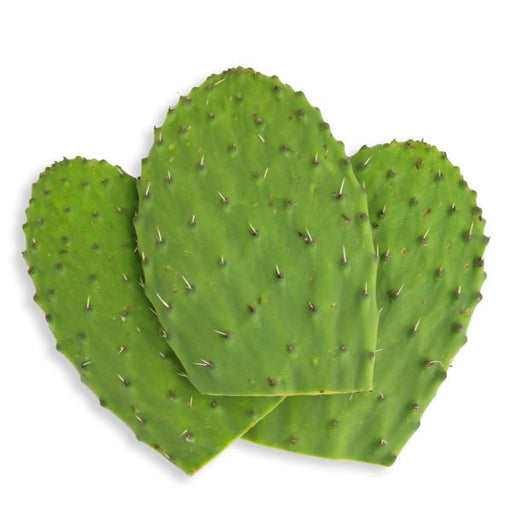 Image of Cactus Leaves Vegetables