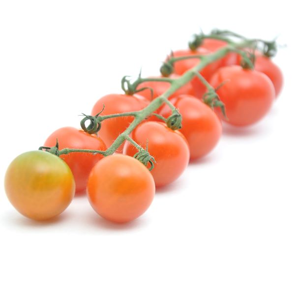 Image of  Organic Tomatoes on the Vine Fruit