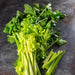 Image of Chinese Celery