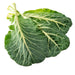 Image of  Collard Greens Vegetables