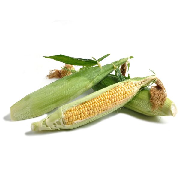 Image of  Organic Corn Organics