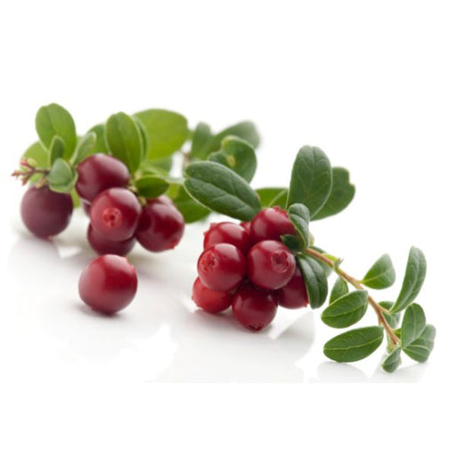 Image of  Cranberries Fruit