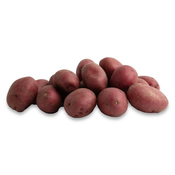 Dutch Red® Potatoes