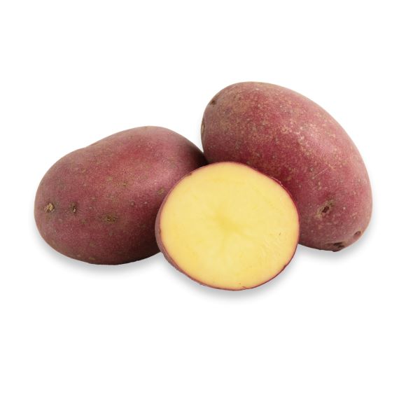 Dutch Red® Potatoes