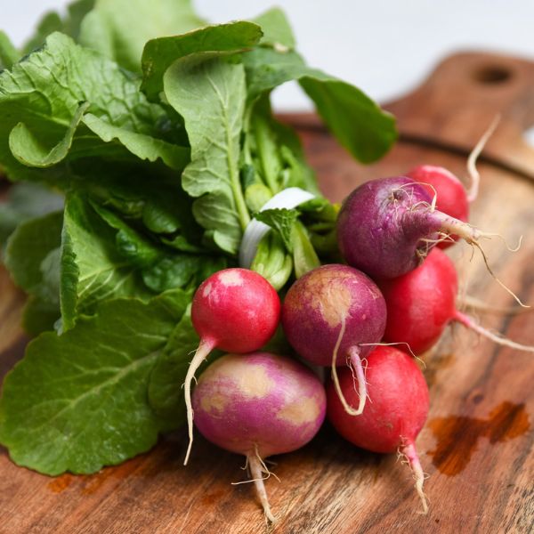 Image of Easter Egg Radish Vegetable styled