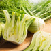 Image of Fennel Bulbs styled