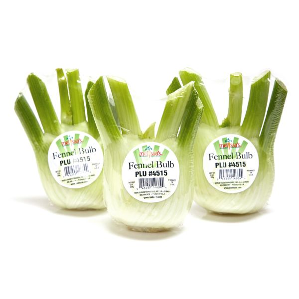 Image of  Fennel Bulbs Vegetables