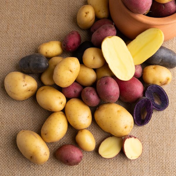 Image of Gemstone® Potatoes Vegetable styled