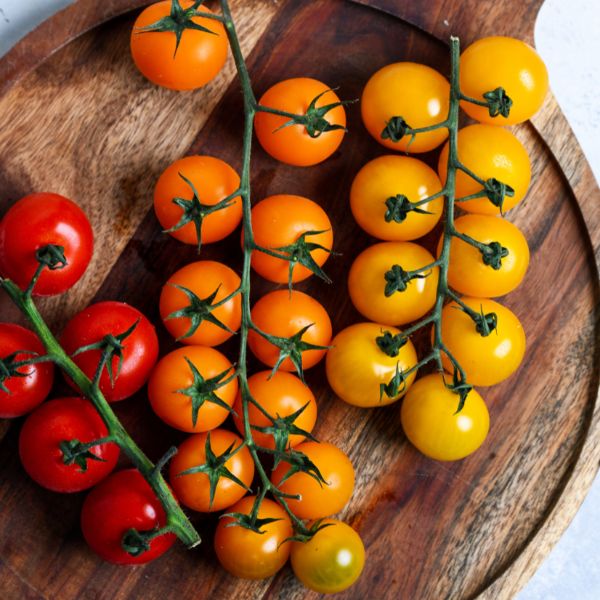 Organic Tomatoes on the Vine