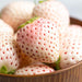 Image of Japanese Jewelbox™ Strawberries