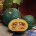 Image of  Organic Kabocha Squash Vegetables