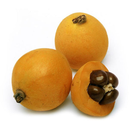 Image of  Loquats Fruit