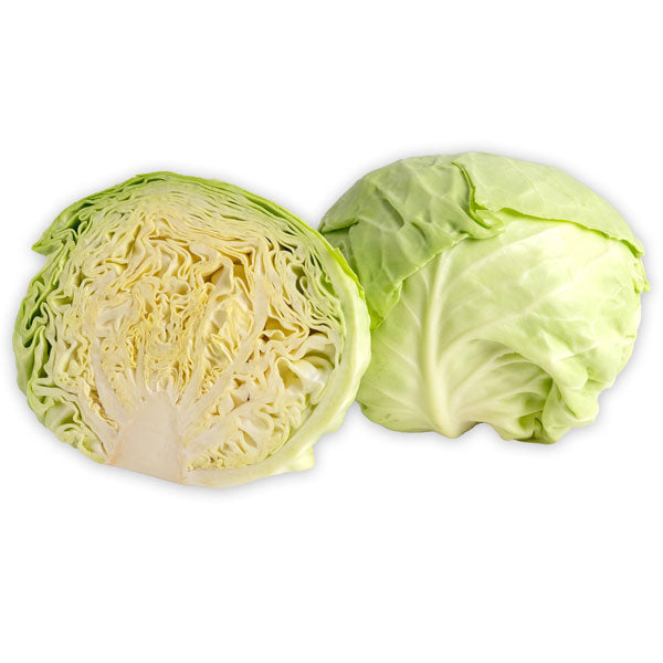 Image of Organic Cabbage Vegetable