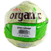 Image of Organic Cabbage Vegetable