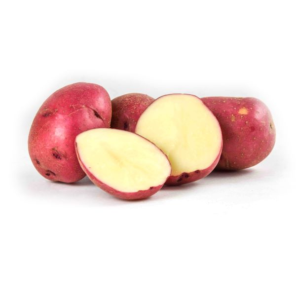 Image of Organic Baby Red Potatoes Vegetable