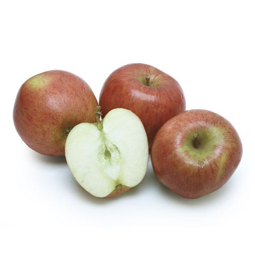 Image of Organic Braeburn Apples Fruit