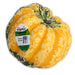 Image of Organic Carnival Squash with Sticker