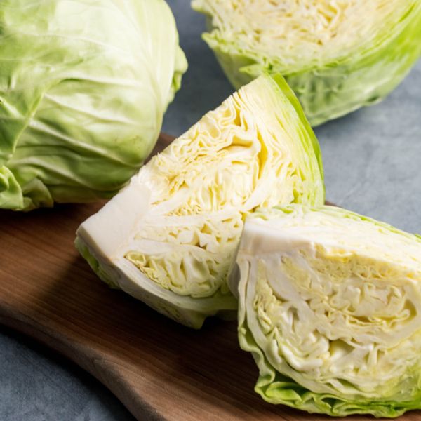 Image of Organic Cabbage Vegetable