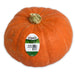 Image of Organic Red Kuri Squash with Sticker