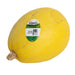 Image of Organic Spaghetti Squash Vegetable