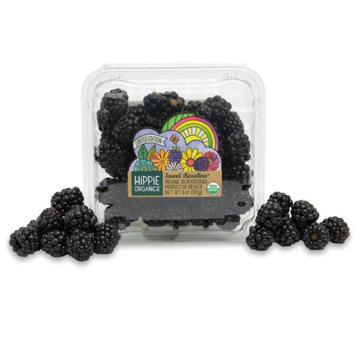 Image of  3 packages (6 Ounces each) Organic Sweet Karoline® Blackberries Fruit