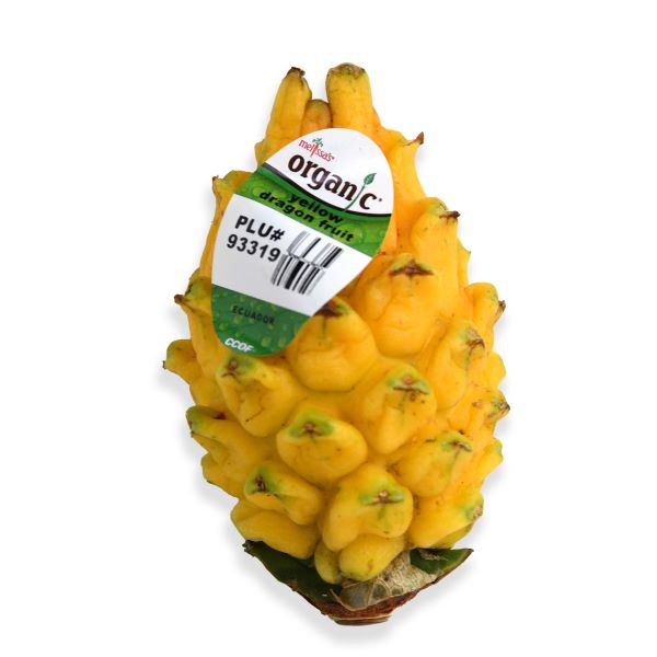 Image of  Organic Yellow Dragon Fruit Fruit