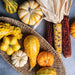 Image of Ornamental Squash