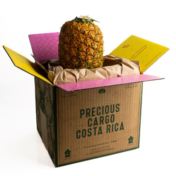 Image of Pinkglow® Pineapple Case