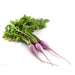 Image of Purple Ninja Radish Vegetable