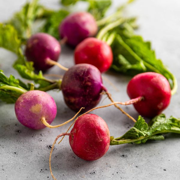 Image of Radish Vegetable