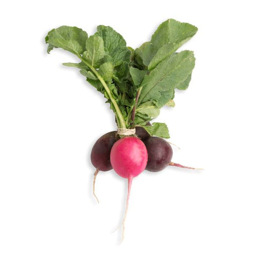 Image of  Radish Vegetables