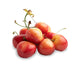 Image of Rainier Cherries Fruit