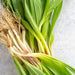 Image of Ramps Vegetable