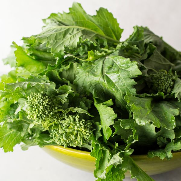 Rapini