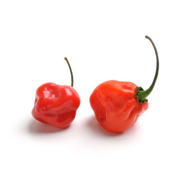 Image of  Red Habanero Peppers Vegetables