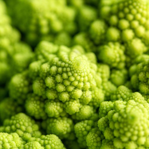 Image of Romanesco